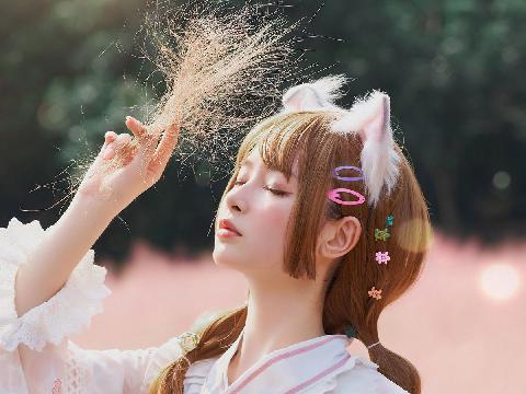 【小说】兽夫们的掌心宠