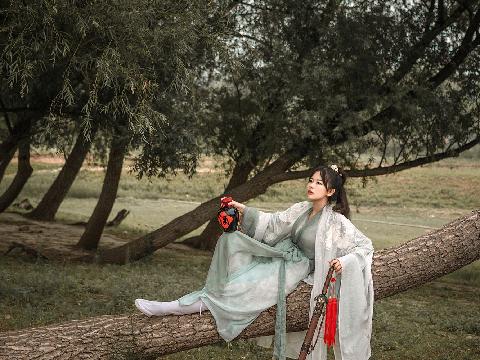【小说】武林乱情