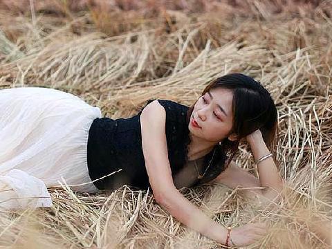 【小说】葫芦村演义