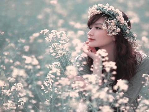 花开花落