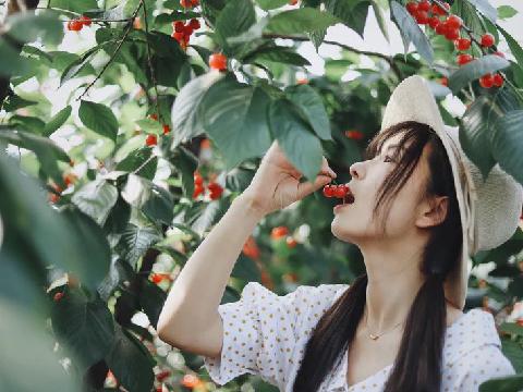 【小说】催眠贴纸