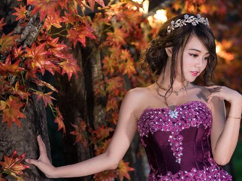 【小说】九州仙子录