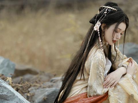 【小说】穿越神雕,我是大宋皇帝