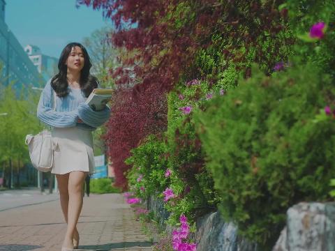 【小说】俏寡妇与爱犬