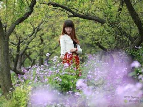 【小说】淫挑寡妇