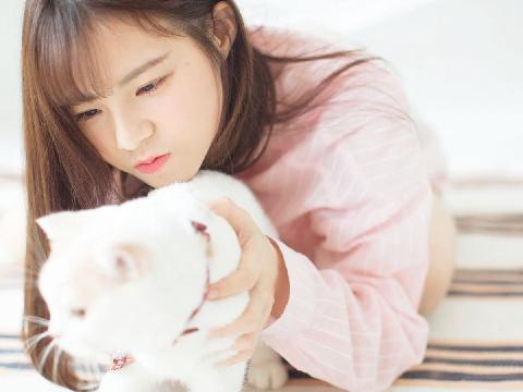 【小说】北上游记