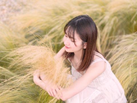 【小说】失踪的美女系列