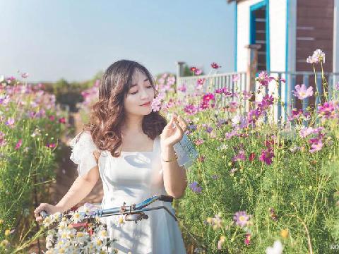 【小说】女神的最终沉沦